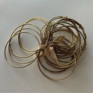 Amrita Gold Tone Bangle Bracelets Set